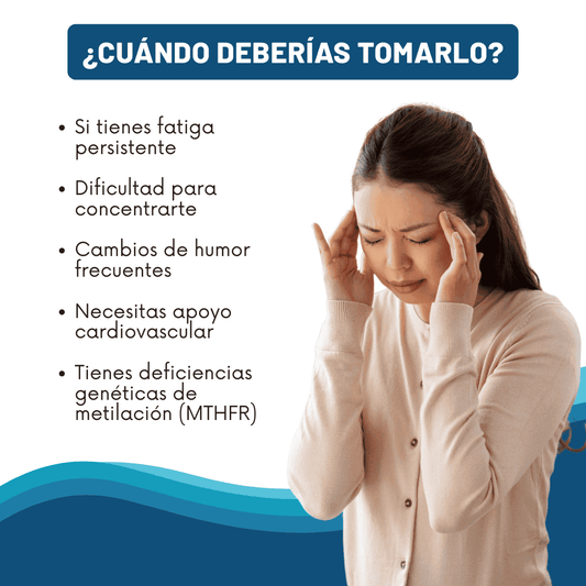 L Methyl Folate – Energía y Equilibrio Mental